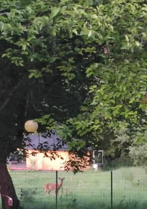Insolite Kota Avec Spa Et Demi Bt De Champagne Offerte Ruch Exterior photo